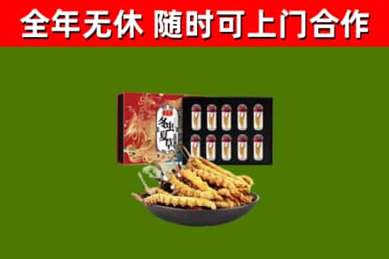 芦山县回收冬虫夏草价格